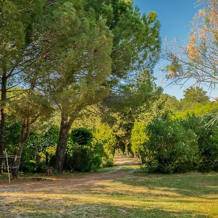 Farm stay Stella Nord Podere Carbone Grosseto