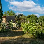 Stella Nord Podere Carbone *