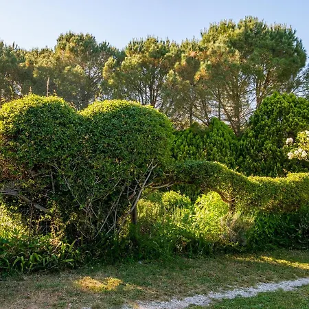Stella Nord Podere Carbone Agroturismo Grosseto