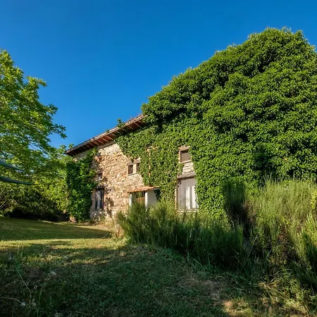 Stella Nord Podere Carbone Grosseto