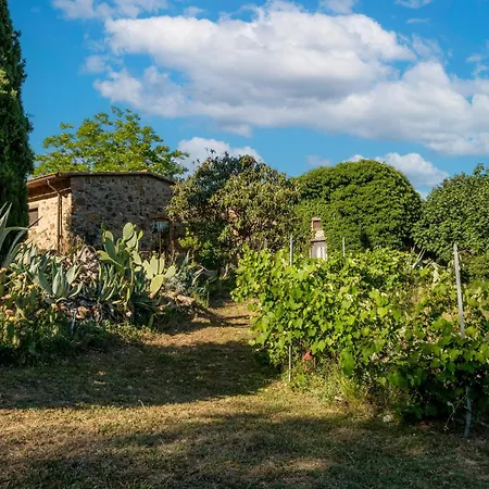 Stella Nord Podere Carbone *